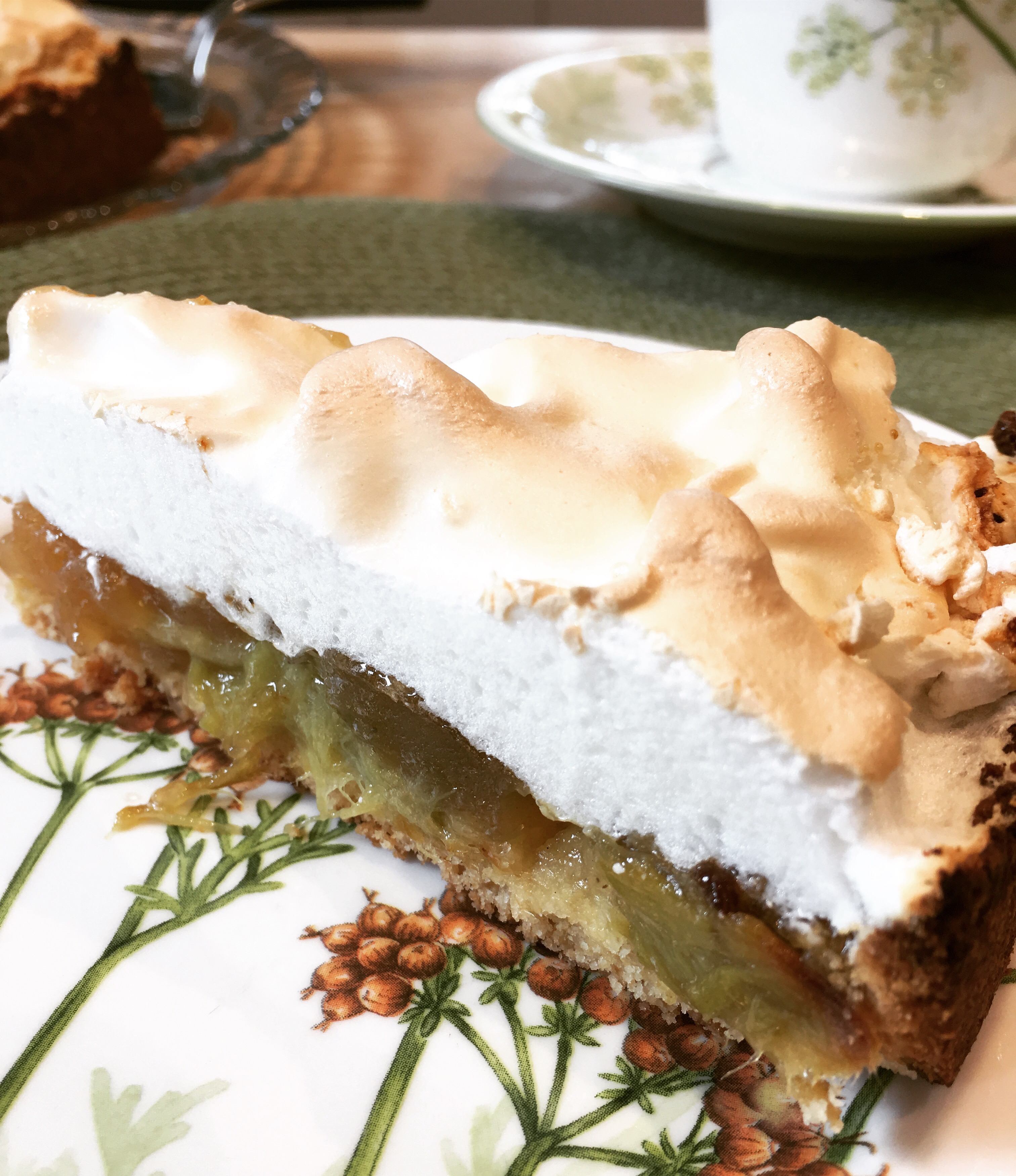 Rhabarber-Vanille-Baiser-Kuchen - Koch & Backblog Köln Thermomix® Rhabarber-Vanille-Baiser-Kuchen - Koch & Backblog Köln Thermomix®